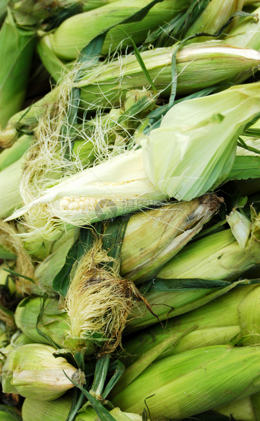 玉米堆收成食物绿色市场生产蔬菜图片