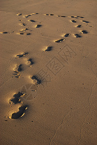 沙中脚印海滩痕迹简介背景图片