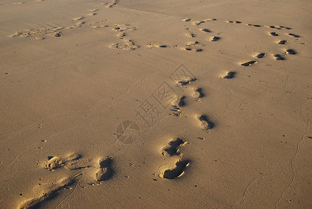 沙中脚印简介海滩痕迹背景图片