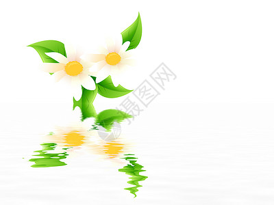 鲜花生长花园色彩野花花盆图案植物学头部花卉花束背景图片