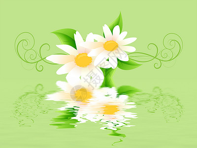 鲜花野花色彩花园花盆向日葵花束图案生长头部花卉背景图片