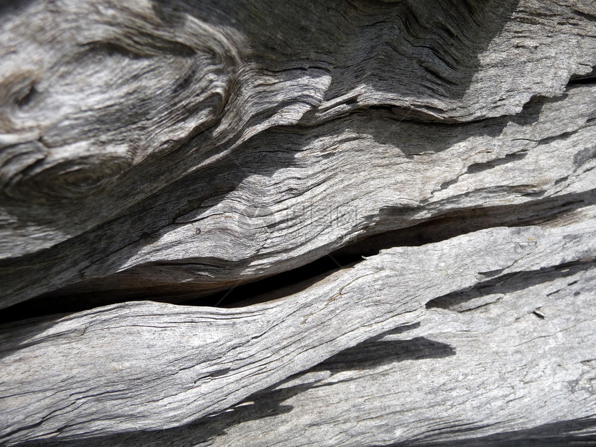木质背景5材料灰色木材宏观图片