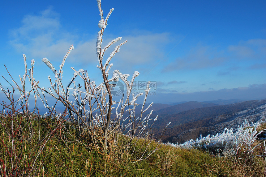 冷冻剂 harfrost地块猪背爬坡远足太阳晴天旅行阳光高地天气图片