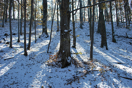 秋秋雪背景图片
