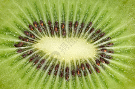 Kiwi 切片种子食物水果宏观热带绿色背景图片