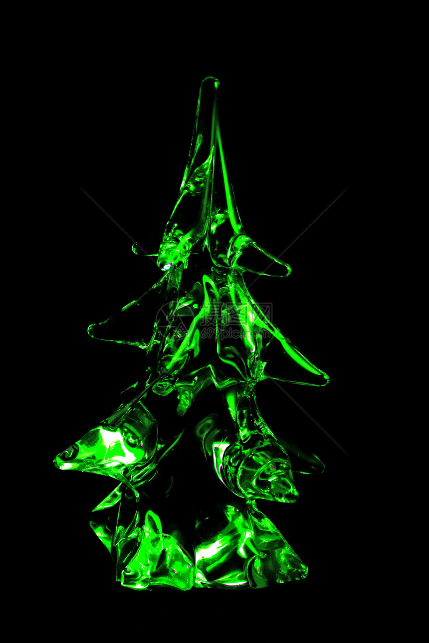 绿水晶树图片