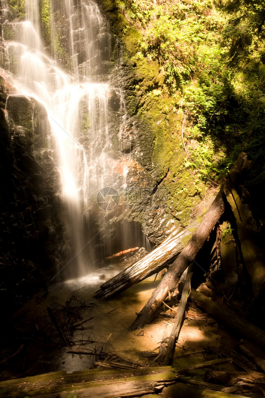 Berry Creek瀑布小路岩石金子冒险叶子公园波纹巨石森林季节性流动图片