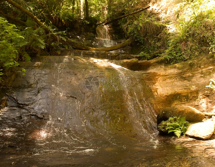 Berry Creek瀑布小路瀑布流动森林金子巨石乡村石头后路岩石叶子图片