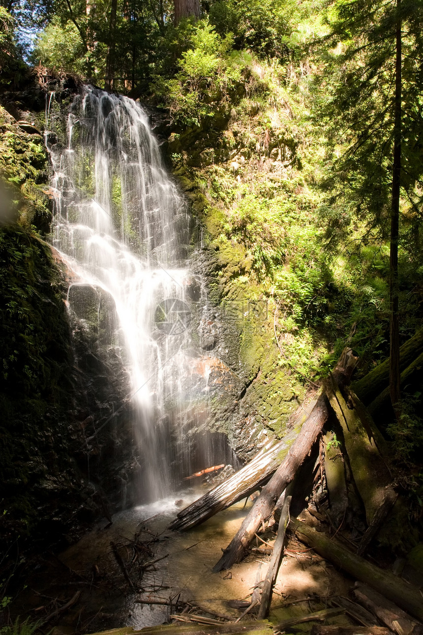 Berry Creek瀑布小路乡村叶子瀑布公园森林风景季节性波纹溪流冒险图片