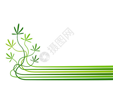 幼苗植物设计白色生长插图叶子元素发芽绿色条纹背景图片