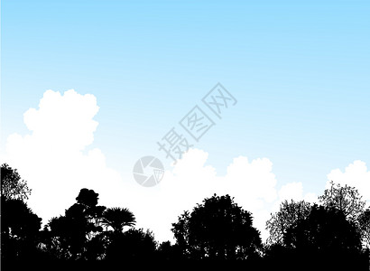 林地树顶荒野灌木丛天空蓝色天气插图黑色栖息地森林背景图片