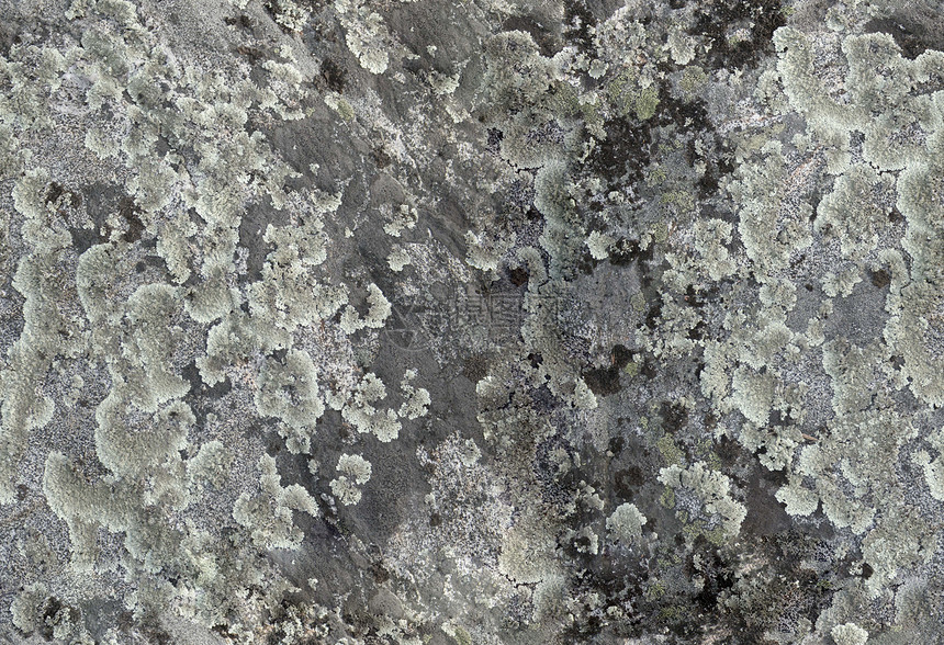 清生长粒状石头沙漠岩石地球地面图片
