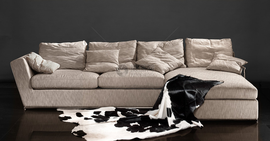 家具沙发枕头棕色绘画皮肤皮革房间图片