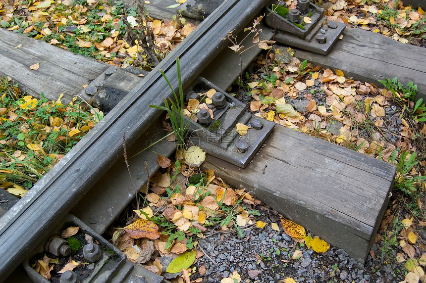 旧铁路假期领带树木铁轨树叶曲目木头金属火车运输图片