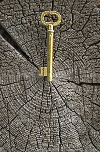旧金色的钥匙古董年度圆圈金子木头老化森林金属材料日志背景图片