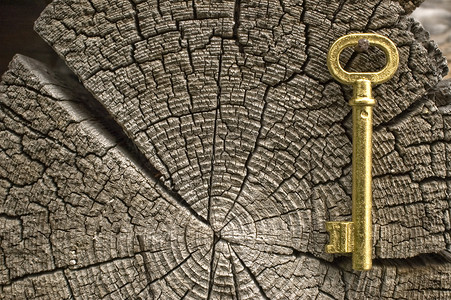 旧金色的钥匙木头年度生活日志老化材料棕色森林金子圆圈背景图片