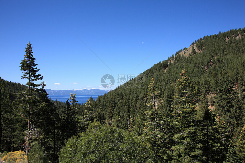 塔霍湖天空蓝色树木旅游远景绿色森林景点山脉假期图片