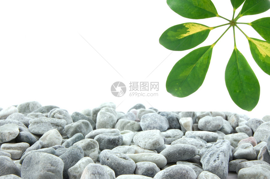 石头和树叶生活温泉鹅卵石卡片冥想边界治疗白色竹子黑色图片