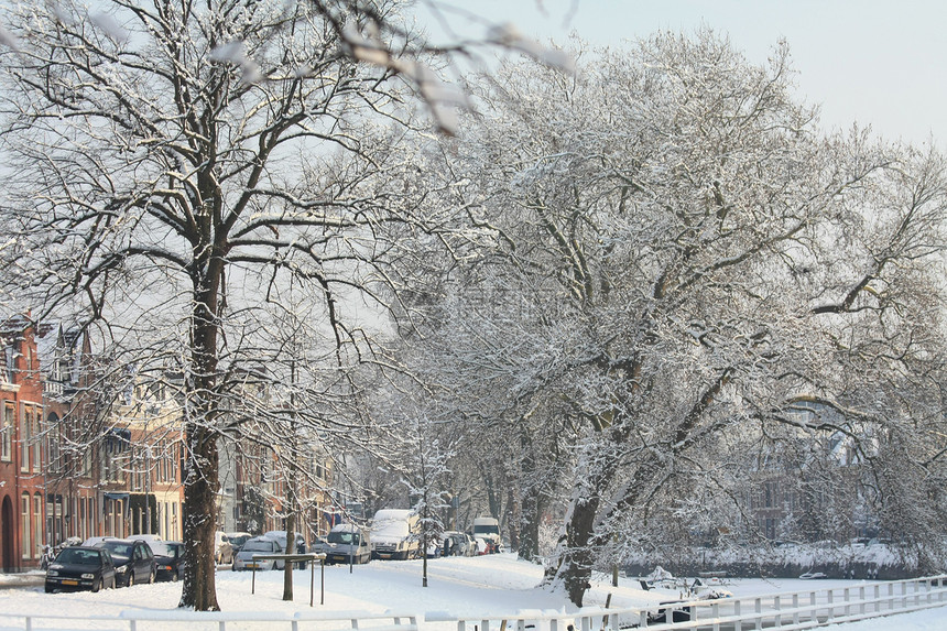 城里的雪路面白色树木降雪薄片汽车街道建筑物城市季节图片