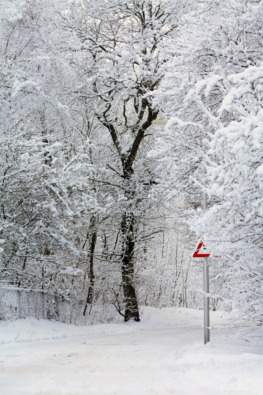 森林中的冬季道路孤独森林寒冷雪包公园车道薄片橡木仙境小路图片