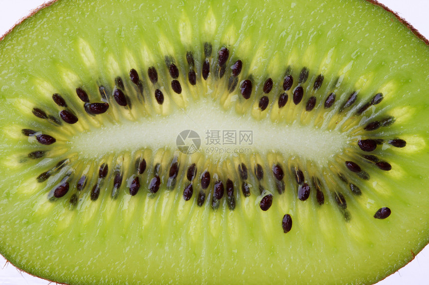 Kiwi 切片背景图片