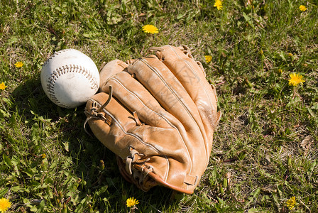 奥运垒球棒球和手套皮革游戏运动消遣绿色垒球棕色闲暇娱乐针脚背景
