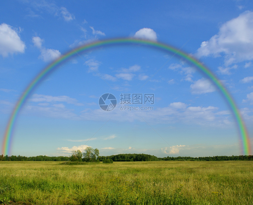 绿地上的彩虹图片