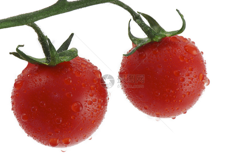 小番茄绿色反射红色宏观白色蔬菜图片