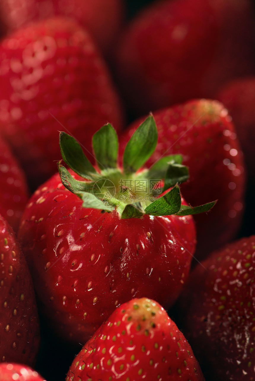 草莓宏观食物团体甜点工作室粉色红色茶点健康美食图片