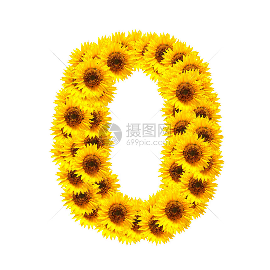 花字母表花园向日葵太阳字体晴天数字白色植物群花朵植物图片