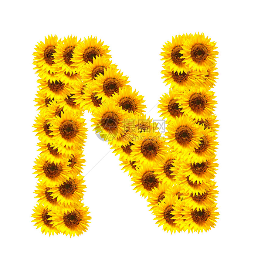 花字母表植物字体花园向日葵晴天植物群太阳黄色白色数字图片