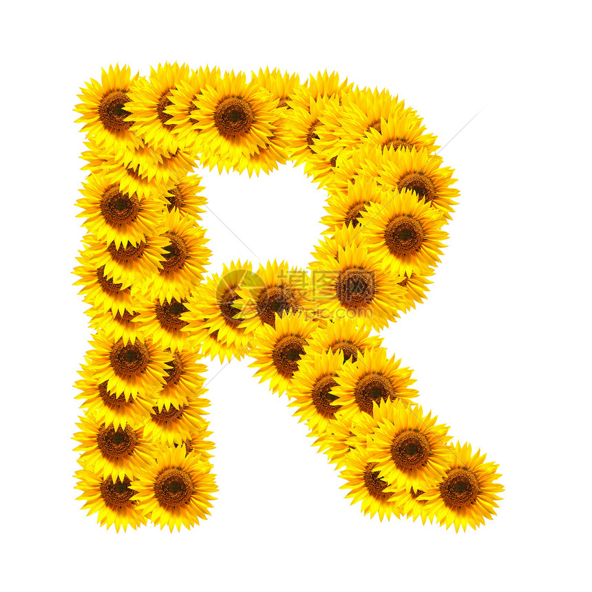 花字母表植物群字体活力植物向日葵晴天数字黄色花园花朵图片