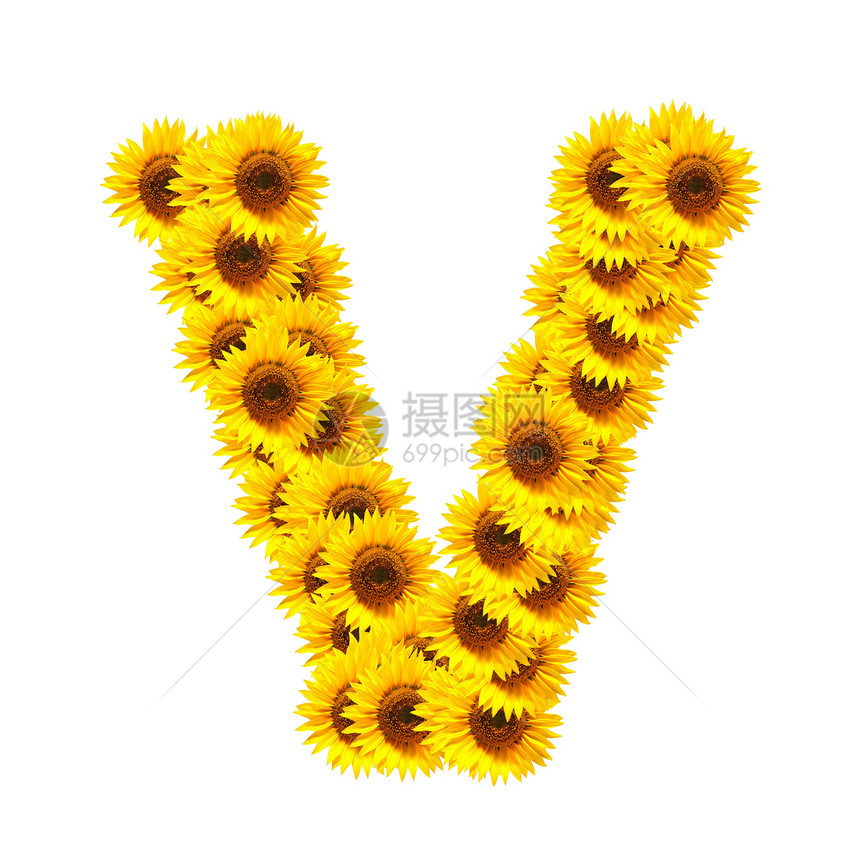花字母表太阳向日葵晴天植物群植物花朵白色数字字体黄色图片