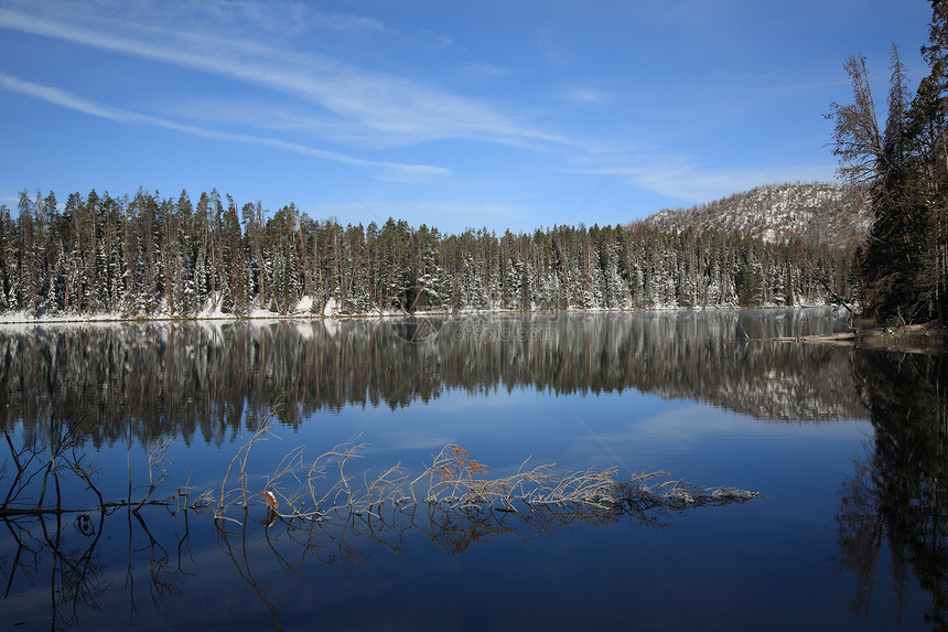 黄石公园国家公园湖湖全景公园结晶国家蓝天树木景点反射远景森林图片