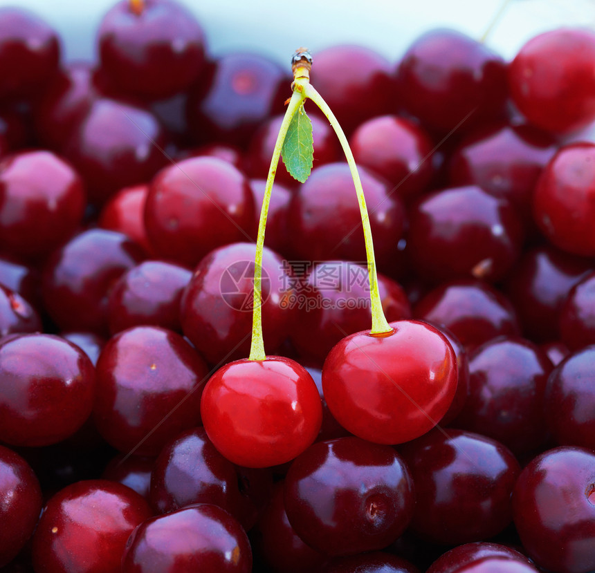新鲜樱桃白色红色茶点水果肉质养分浆果团体食物图片