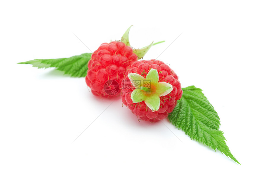 草莓宏观活力绿色浆果红色工作室白色水果叶子季节图片