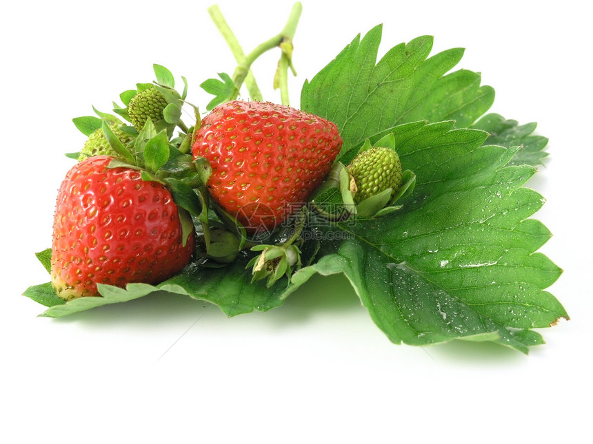 草莓玻璃果汁冻结饮食甜点食物立方体水果叶子团体图片