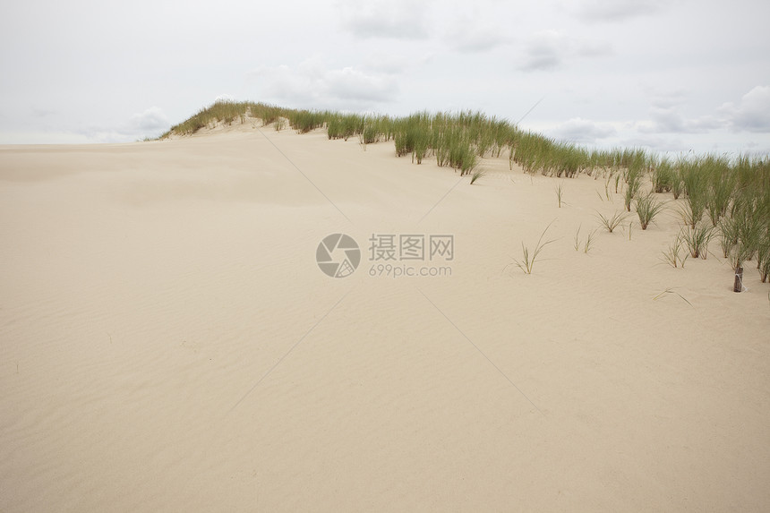 由风和水形成的沙浪黄色旅行日落海浪海岸线场景气候热带纹理脆弱性图片