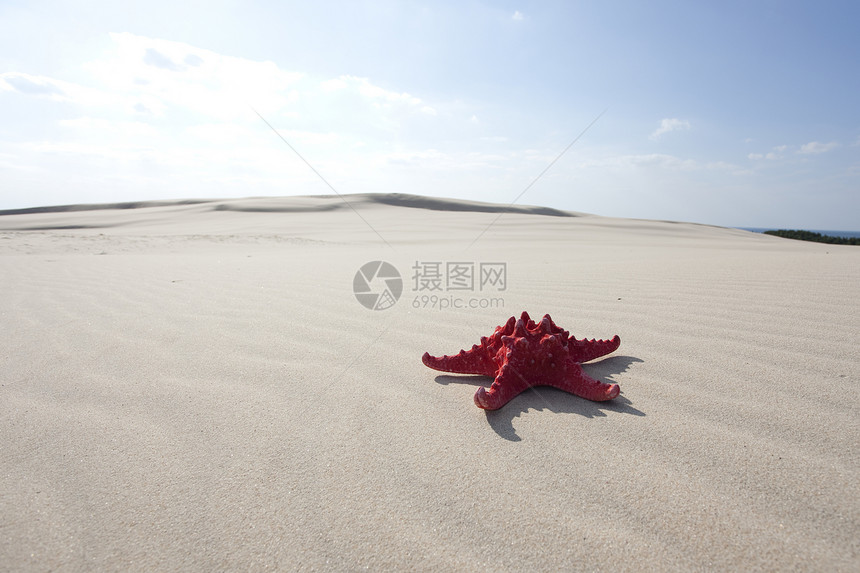 红海星场景日落海浪假期海滩脆弱性纹理旅行气候热带图片