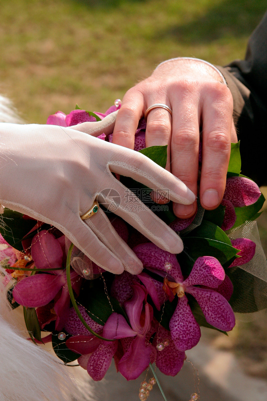 新婚夫妇握手牵手新人男性珠宝感情仪式婚礼首饰新娘女性夫妻图片