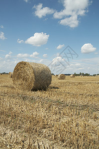 海考克 夏末草垛黄色小麦蓝色地平线场地收成乡村农村草堆背景图片