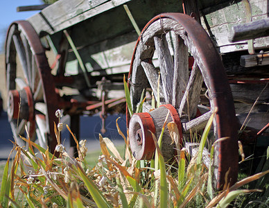 边形运输古董轮子背景图片