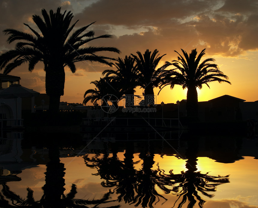 日落时椰枣树酒店情调日出反射热带异国棕榈天空图片