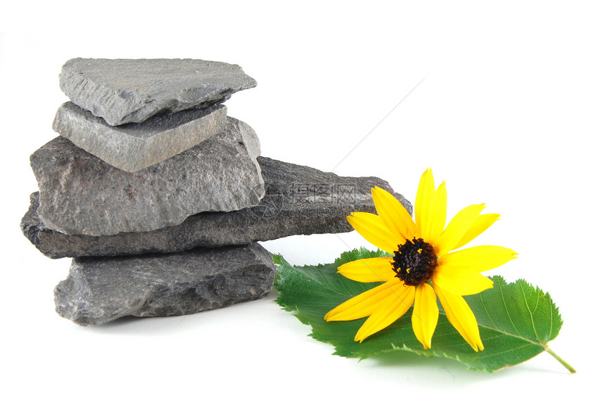 石头生态碎石黄色材料小路太阳植物学花园平衡生长图片