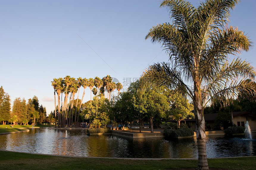 拉斯帕尔马斯公园天空城市日落池塘娱乐水池棕榈公园图片