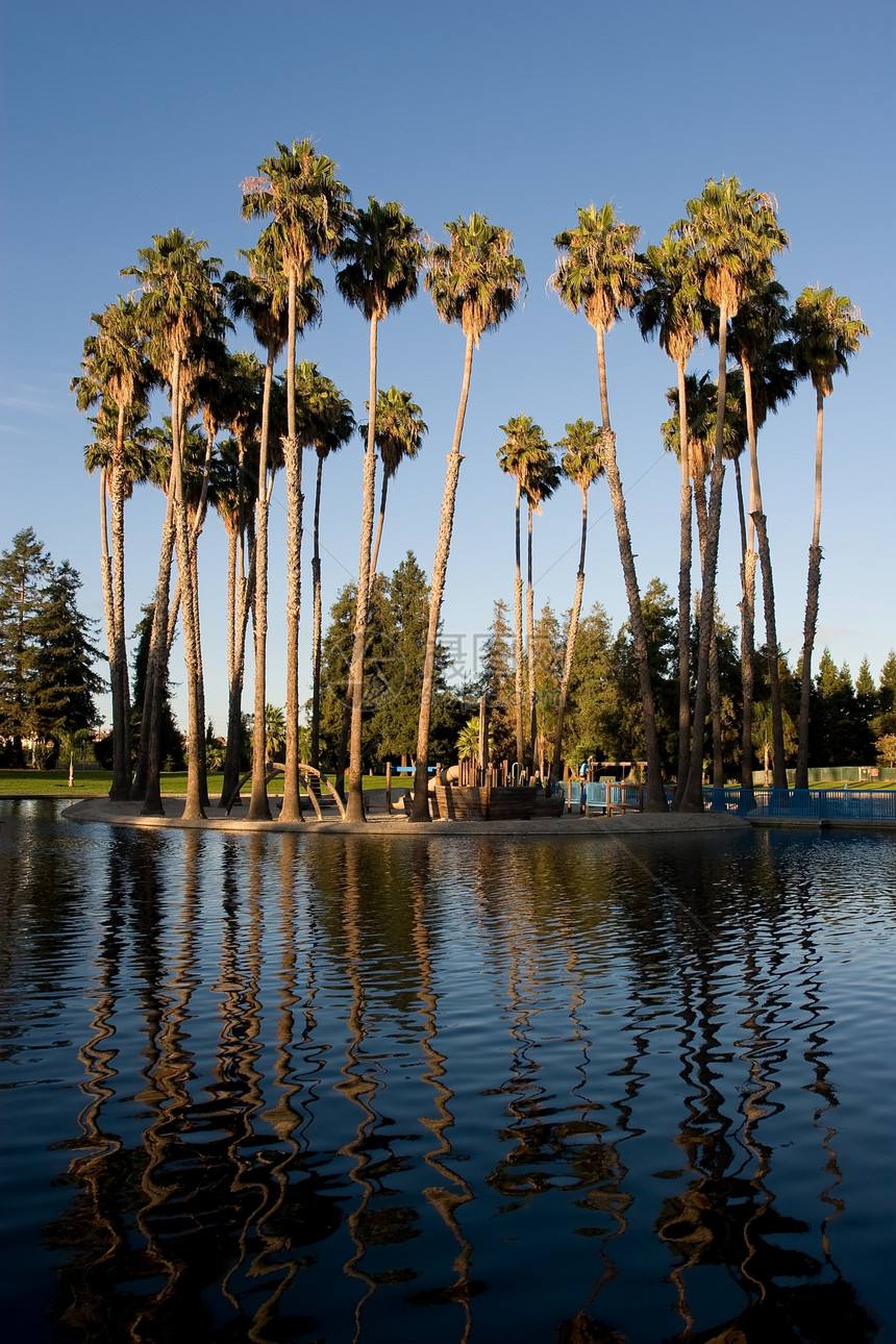 拉斯帕尔马斯公园棕榈天空城市娱乐水池池塘公园日落图片