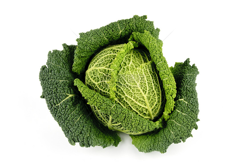 绿色蔬菜菜叶农场植物饮食沙拉维生素树叶叶子花园收成食物图片