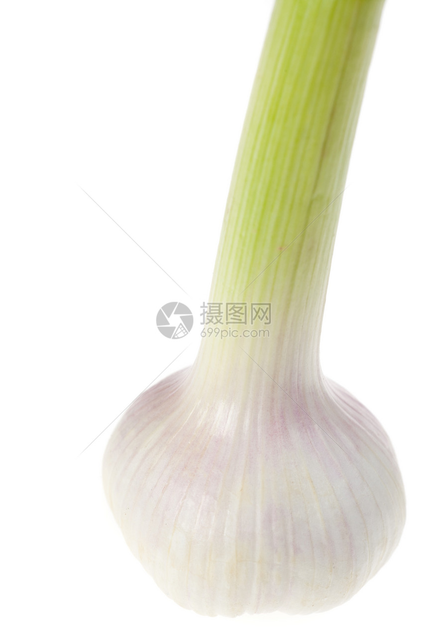 白色背景上的大蒜孤立食物香气香料蔬菜味道图片
