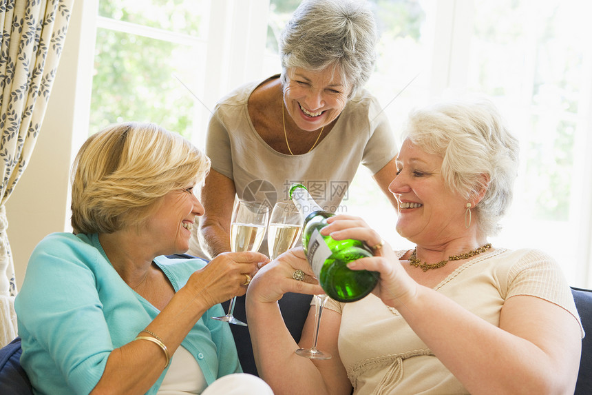 在客厅里的三个女人 喝香槟 笑着微笑酒杯友谊女士退休享受情感女性三个人干杯沙发图片