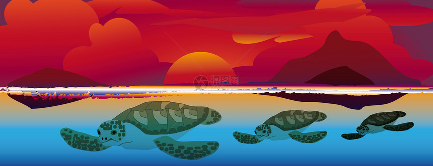 日落游泳海龟野生动物山脉生物太阳海洋紫色爬虫动物绘画行动图片